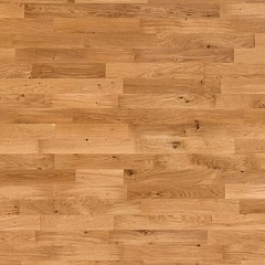 PATAGONIA OAK